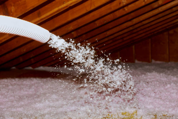 Best Residential Insulation in Townsend, DE